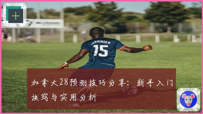 加拿大28预测技巧分享：新手入门诀窍与实用分析