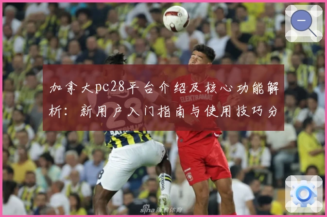 加拿大pc28平台介绍及核心功能解析：新用户入门指南与使用技巧分享