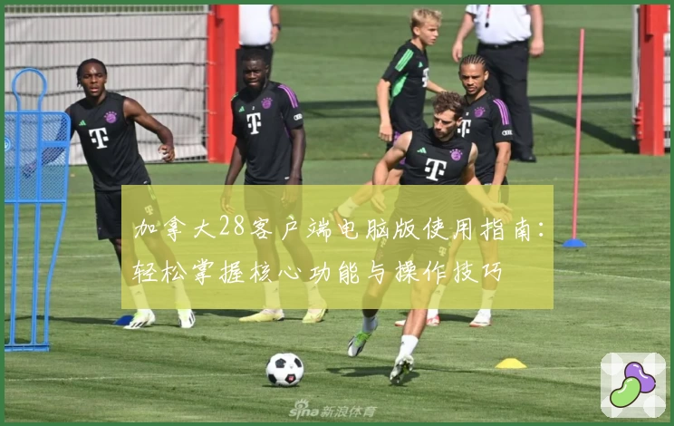 加拿大28客户端电脑版使用指南：轻松掌握核心功能与操作技巧