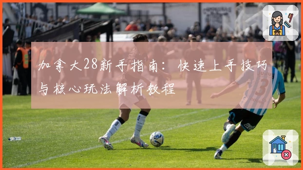 加拿大28新手指南：快速上手技巧与核心玩法解析教程