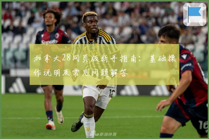 加拿大28网页版新手指南：基础操作说明及常见问题解答