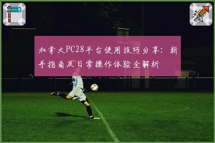 加拿大PC28平台使用技巧分享：新手指南及日常操作体验全解析