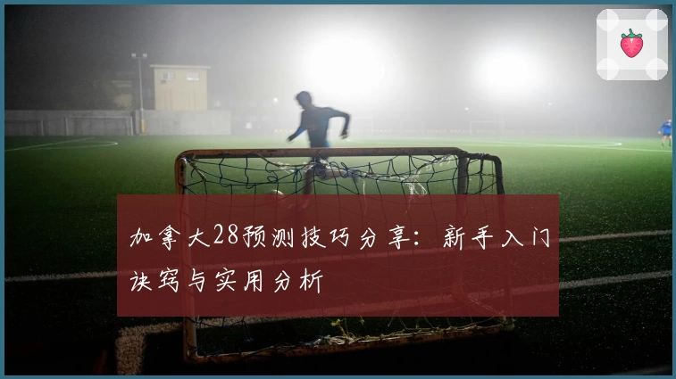 加拿大28预测技巧分享：新手入门诀窍与实用分析