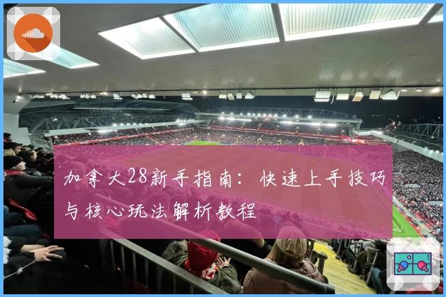 加拿大28新手指南：快速上手技巧与核心玩法解析教程