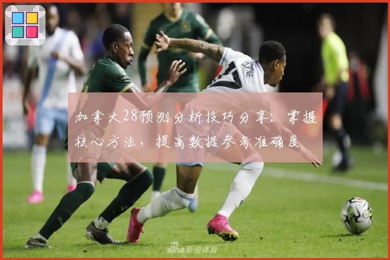 加拿大28预测分析技巧分享：掌握核心方法，提高数据参考准确度