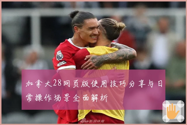 加拿大28网页版使用技巧分享与日常操作场景全面解析