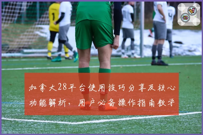 加拿大28平台使用技巧分享及核心功能解析，用户必备操作指南教学