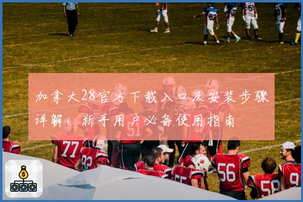 加拿大28官方下载入口及安装步骤详解，新手用户必备使用指南