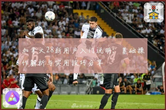 加拿大28新用户入门说明：基础操作解析与实用技巧分享