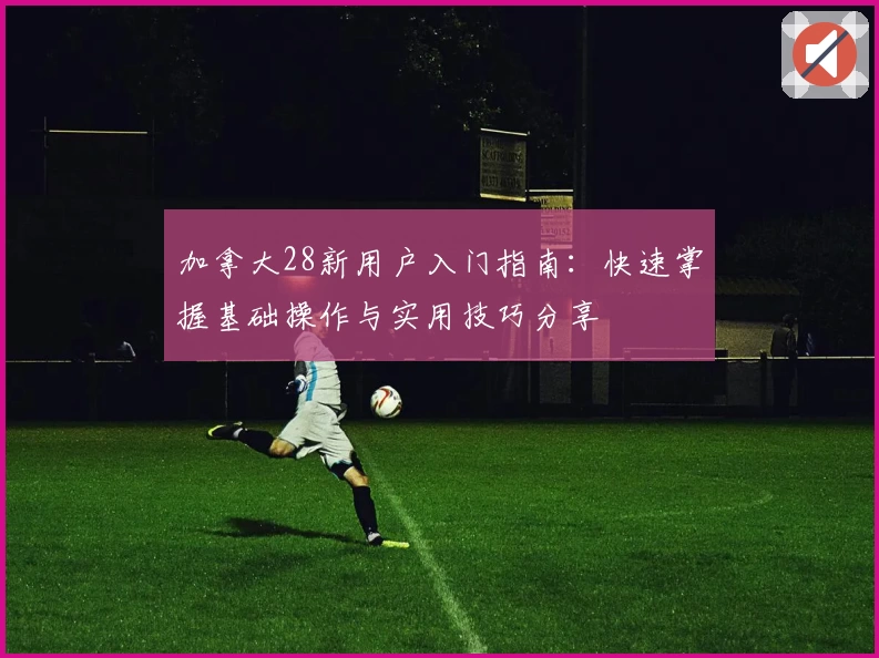 加拿大28新用户入门指南：快速掌握基础操作与实用技巧分享